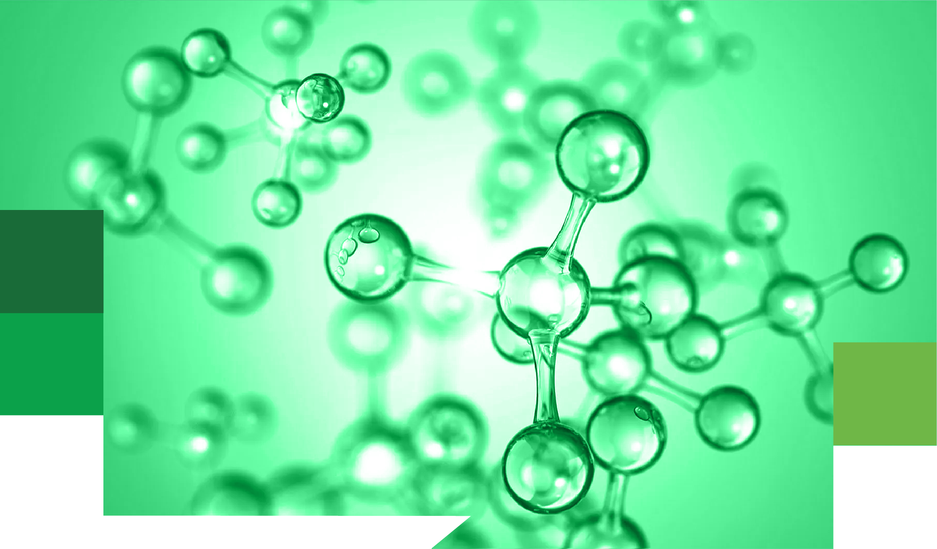 products-banner-green